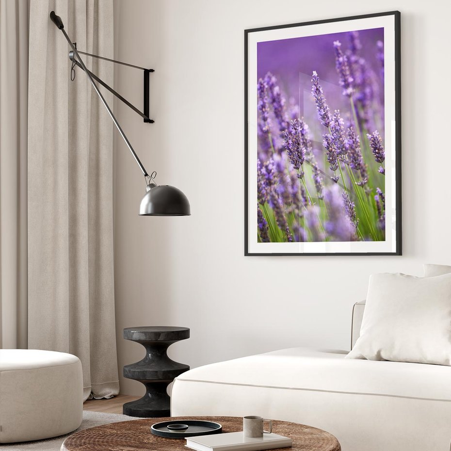 Plakat bez ramy 50x70 - Urok lawendy - lawenda, kwiaty