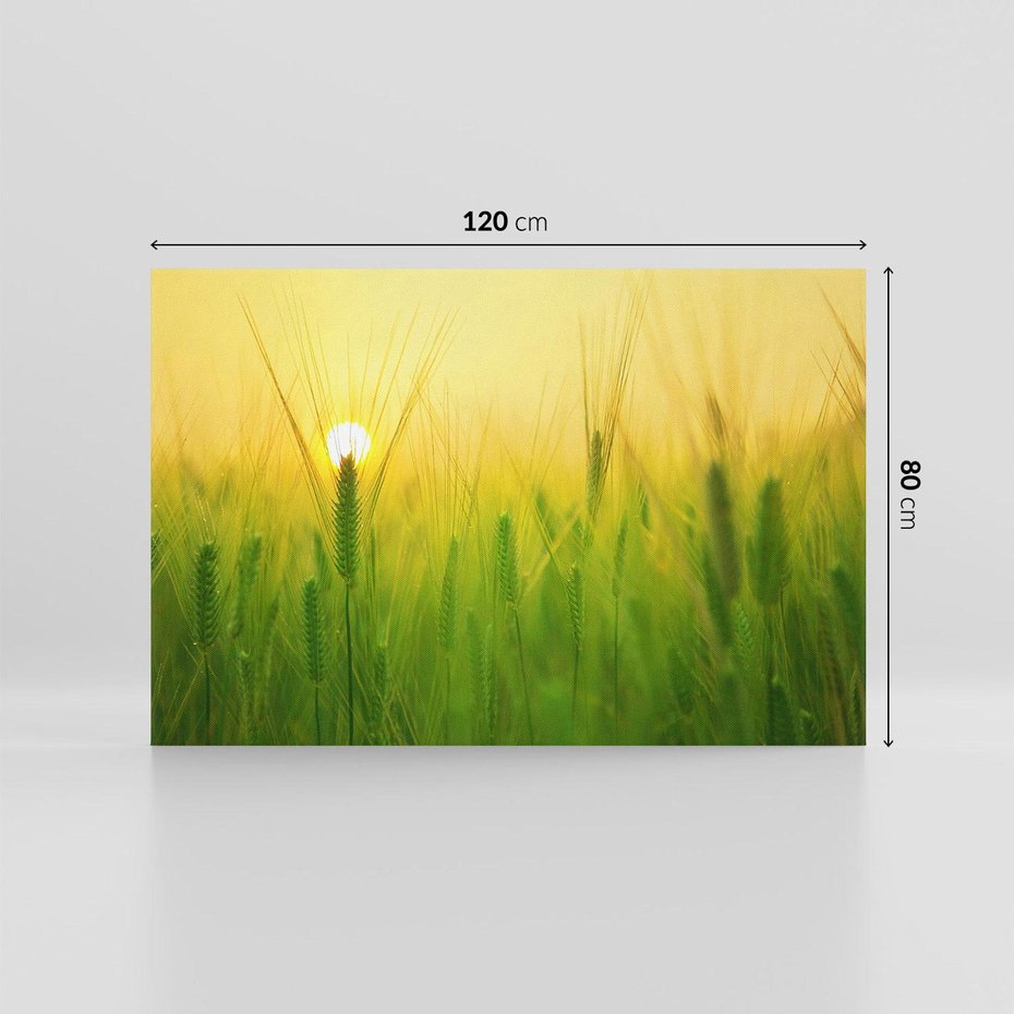 Obraz na płótnie 120x80 - Zboże w kłosach: Oda do plonów natury - zboże, kłos