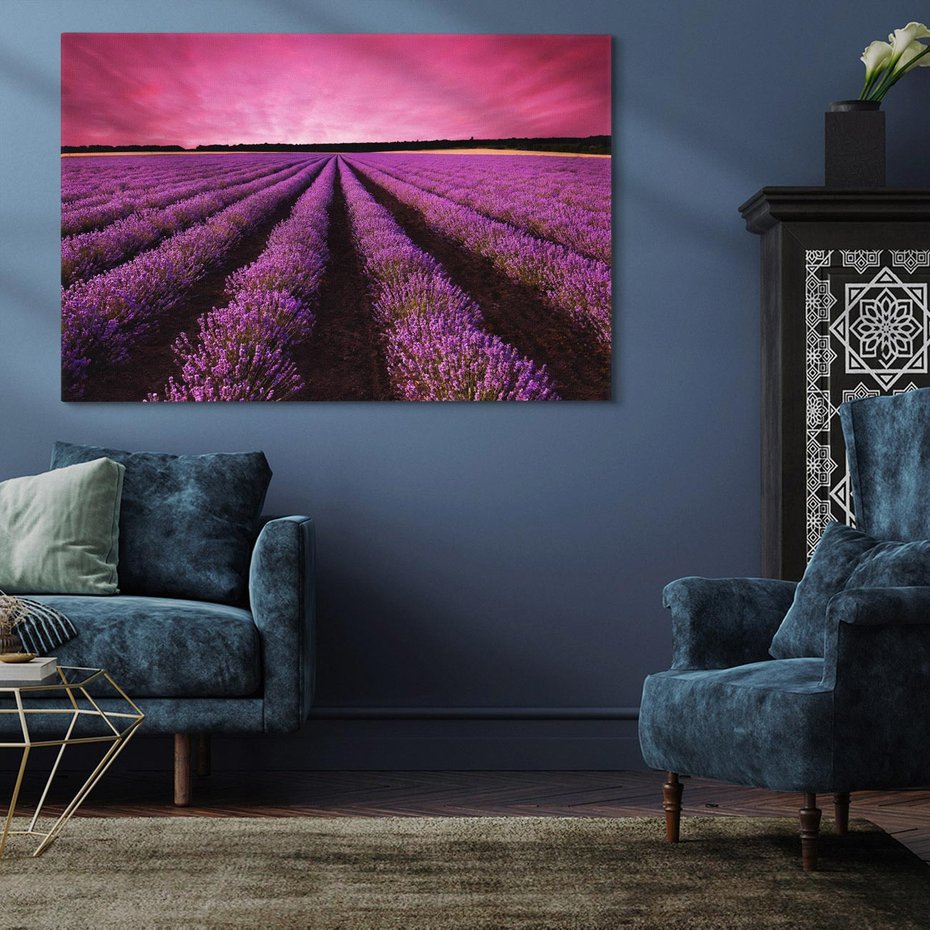 Obraz na płótnie 70x50 - Pola lawendy w pełnym rozkwicie - Lawenda, krajobraz