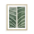 Plakat w ramie 40x50 - Zielone Wielkości: Zbliżenie Liścia - zbliżenie duz liść, jasna zieleń - rama drewno