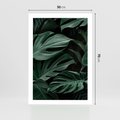 Plakat bez ramy 50x70 - Zielone Liście Monstery w Dżungli - zielone liście monstery, dżungla