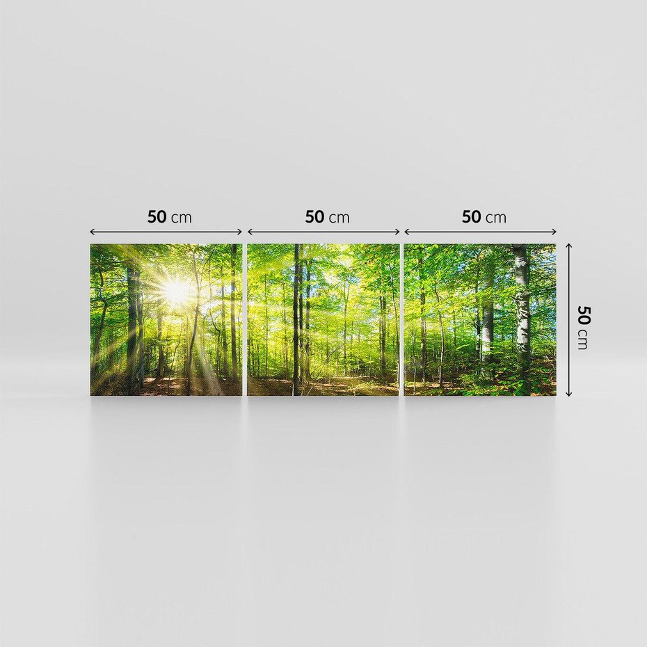 Obraz na płótnie 150x50 - Drzewa w harmonii - las, drzewa