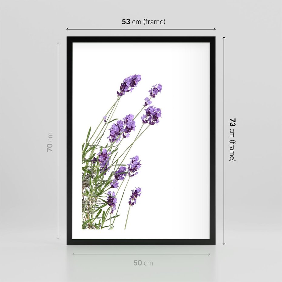 Plakat w ramie 50x70 - Delikatny Urok - lawenda, kwiaty - rama czarna