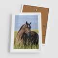 Plakat w ramie 50x70 - Siła i piękno natury - koń, łąka - rama biała