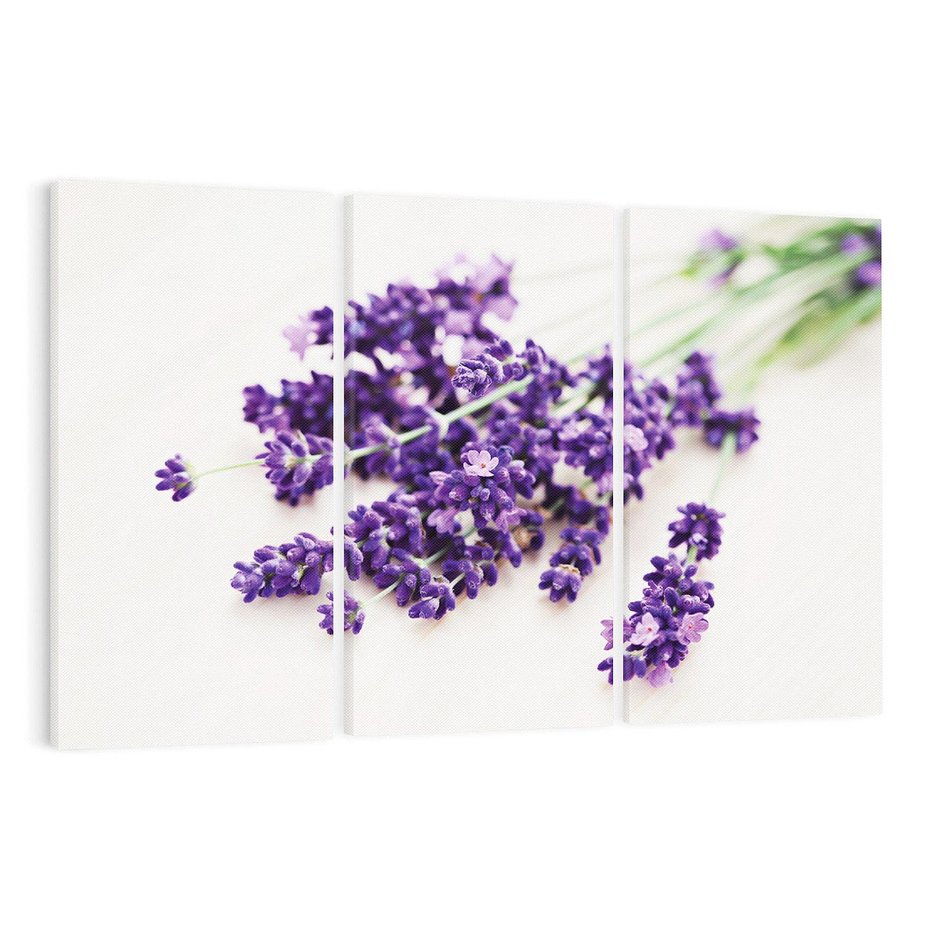 Obraz na płótnie 120x80 - Urok lawendowych kwiatów - lawenda, kwiaty
