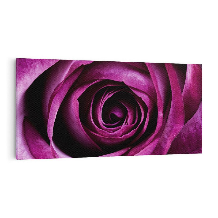 Obraz na płótnie 100x50 - piękno w delikatności - róża, kwiat