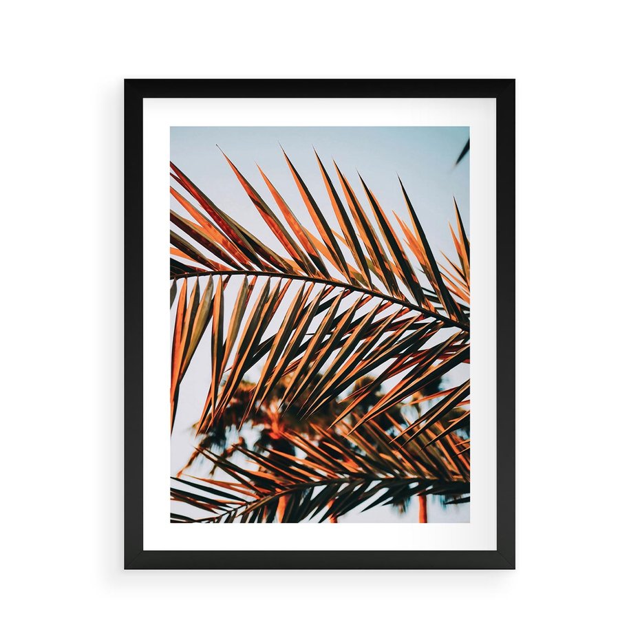 Plakat w ramie 40x50 - Tropikalna Harmonia - palma, liście palmy - rama czarna
