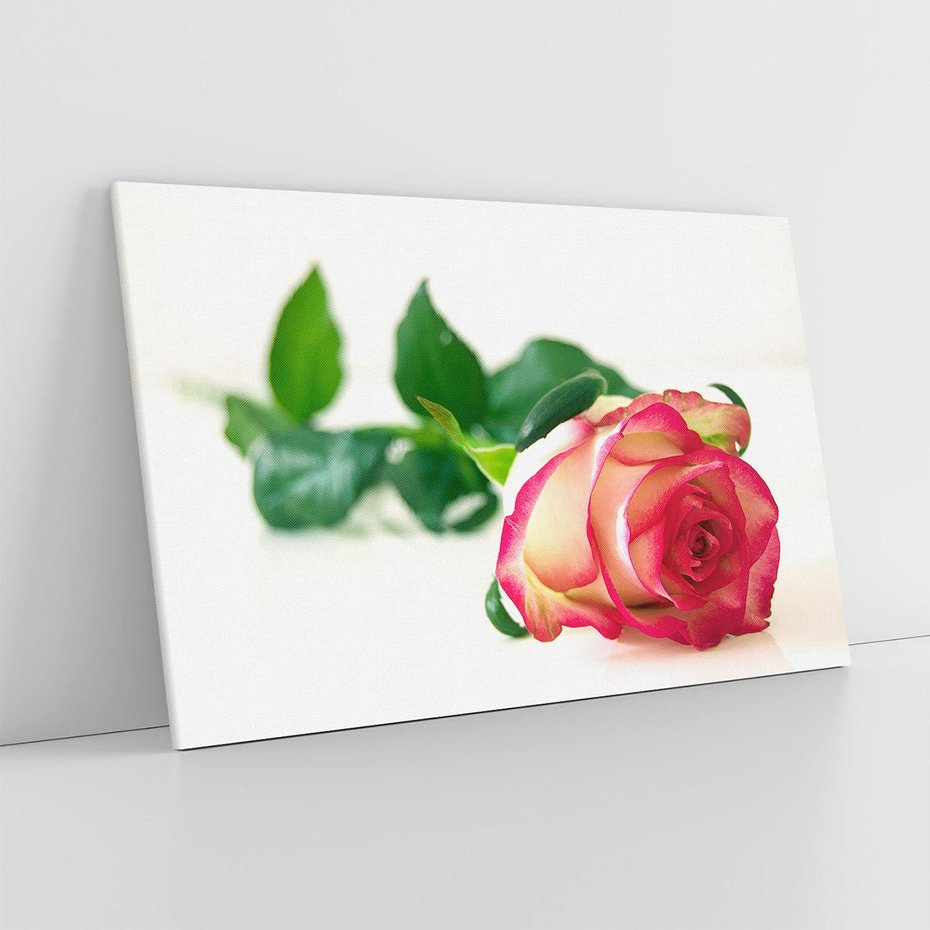 Obraz na płótnie 70x50 - Romantyczna Róża - róża, kwiat