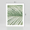 Plakat bez ramy 40x50 - Liście Palmy: Egzotyczna Grafika - palma, liście palmy