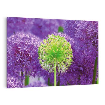 Obraz na płótnie 70x50 - Kwiatowy Raj - kwiat, kwiaty