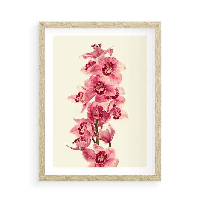 Plakat w ramie 50x70 - Orchidea w spa - relaks - orchidea, spa - rama drewno