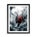 Plakat w ramie 50x70 - Chwila Zimowego Uroku - zima, ośnieżona gałązka - rama czarna
