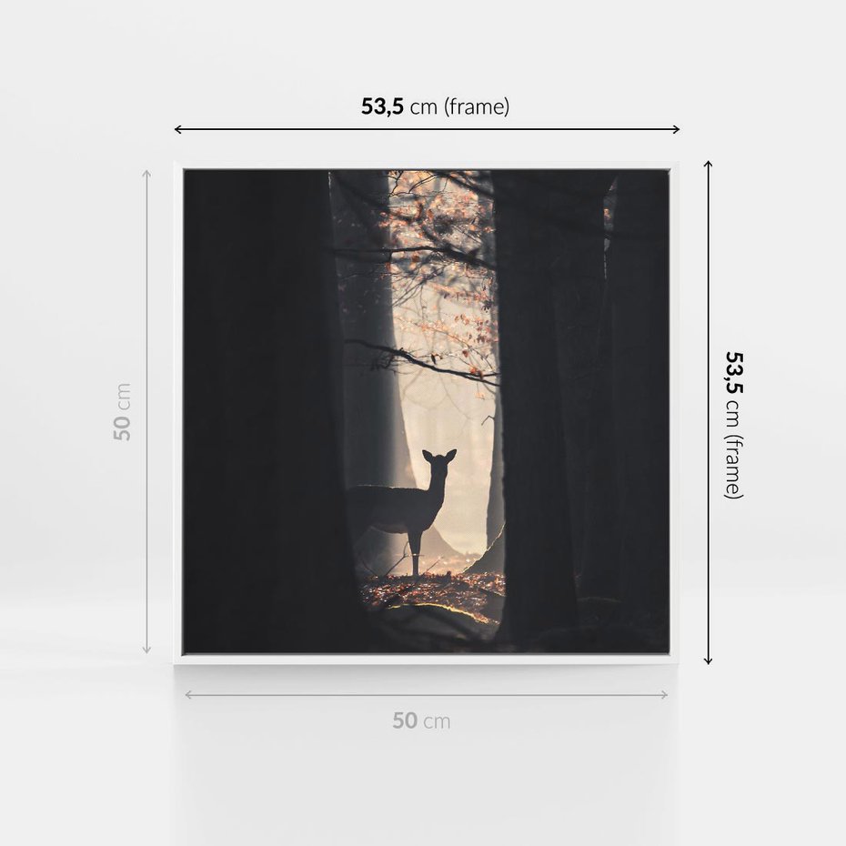 Obraz w ramie 50x50 - Sarnie Skoki - zdjęcie, klimatyczny las - rama biała