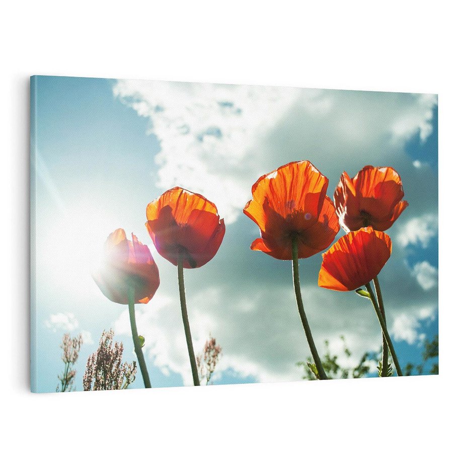 Obraz na płótnie 100x70 - Kwiaty pod niebem: piękno natury - kwiaty, niebo