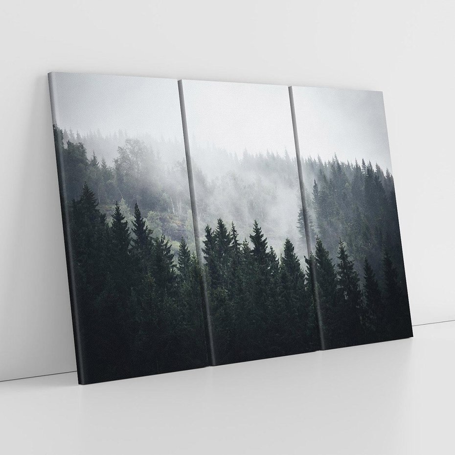 Obraz na płótnie 120x80 - Las w górach: mistyczna mgła - las, góry