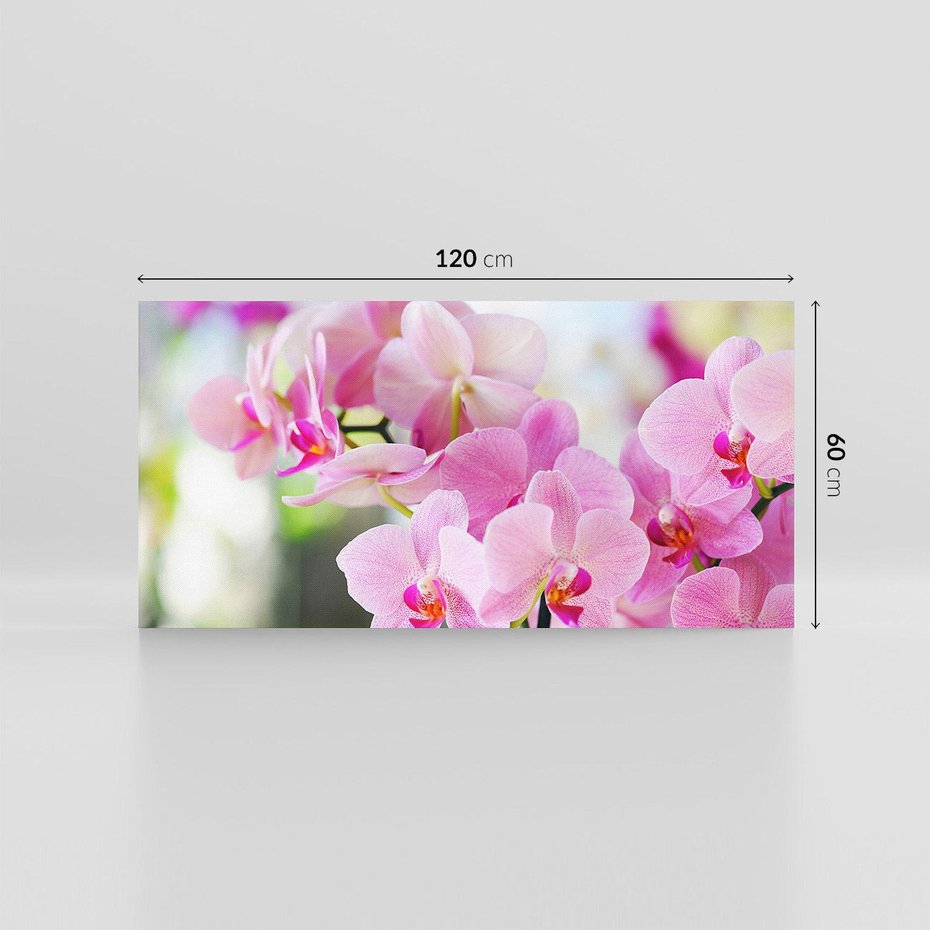Obraz na płótnie 120x60 - Elegancja orchidei - orchidea, kwiaty