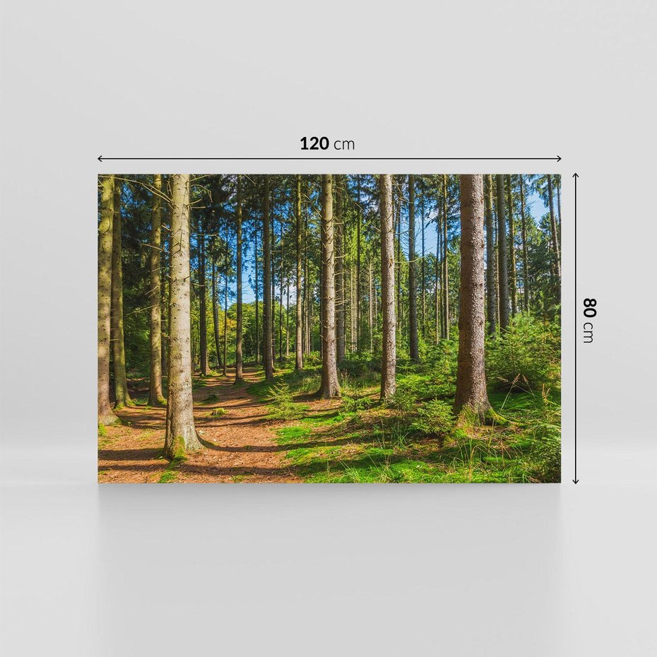 Obraz na płótnie 120x80 - Mistyfikacje lasu - las, drzewa