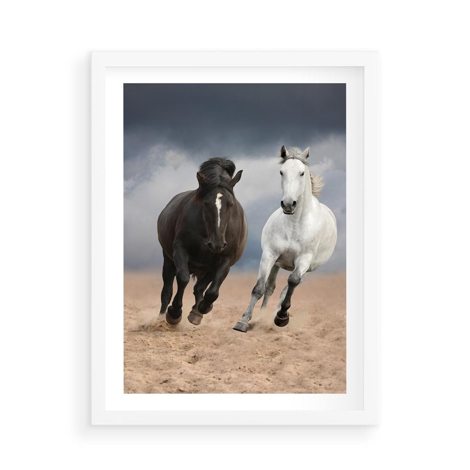 Plakat w ramie 50x70 - Siła koni w galopie - konie, galop - rama biała
