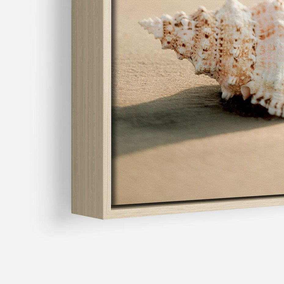 Obraz w ramie 120x80 - Urok plażowej muszelki - fotografia, muszla na plaży - rama drewno