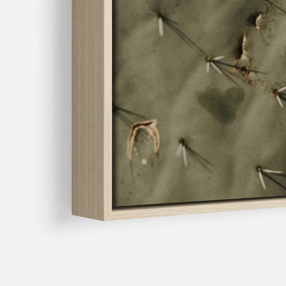 Obraz w ramie 70x50 - Urok Egzotyki - kaktusy, boho - rama drewno