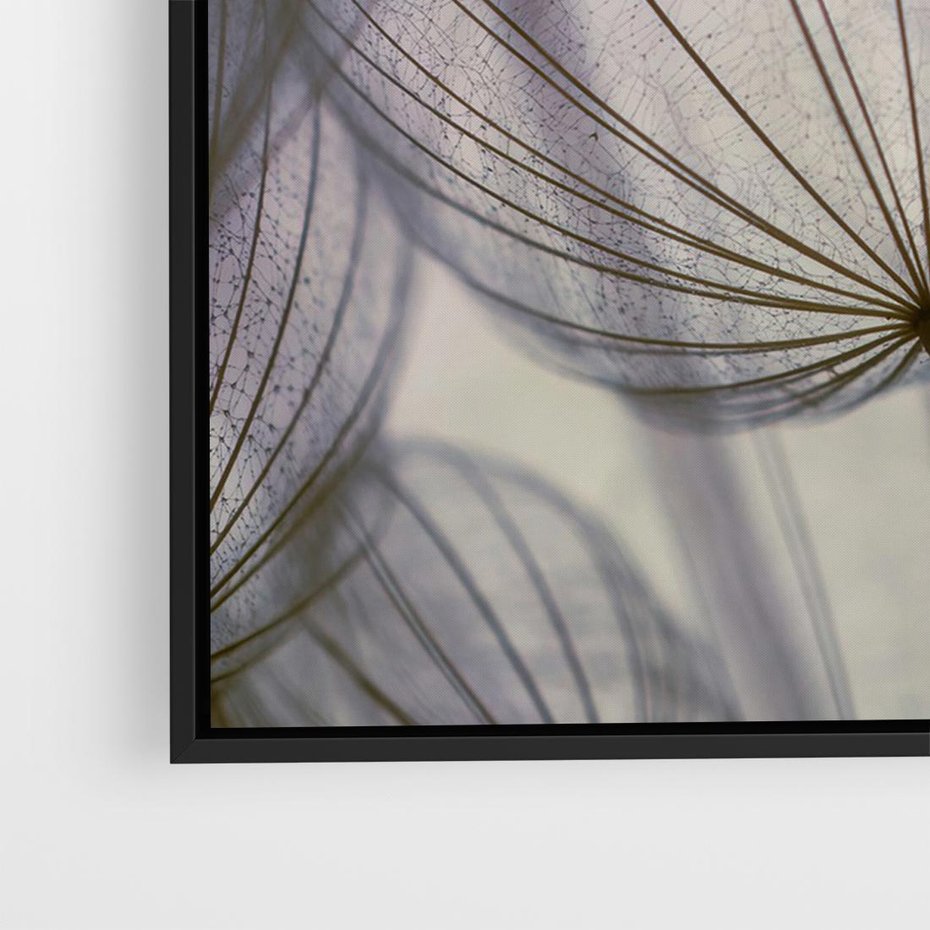 Obraz w ramie 100x70 - Makro dmuchawiec - piękno drobnych detali - dmuchawce, makro - rama czarna