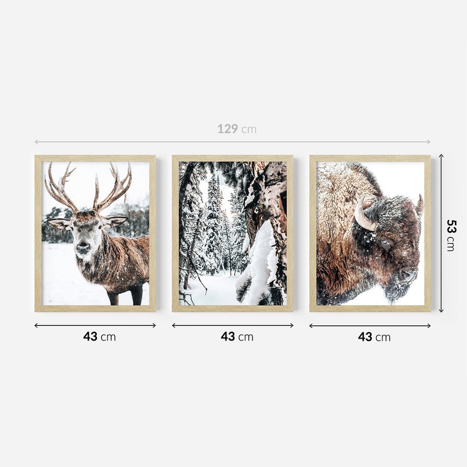 Zestaw obrazy w ramie 40x50 galeria - Jeleń, bizon, zima, retro - rama drewno