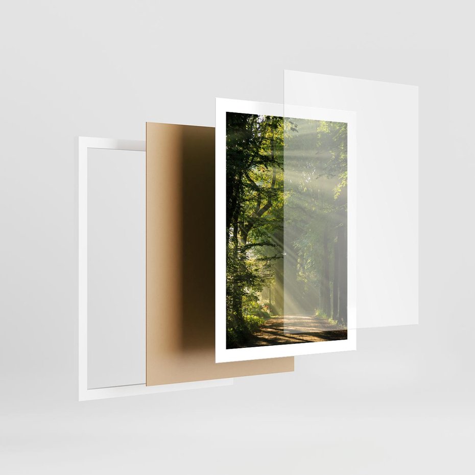 Plakat w ramie 50x70 - harmonia natury - las, drzewa - rama biała