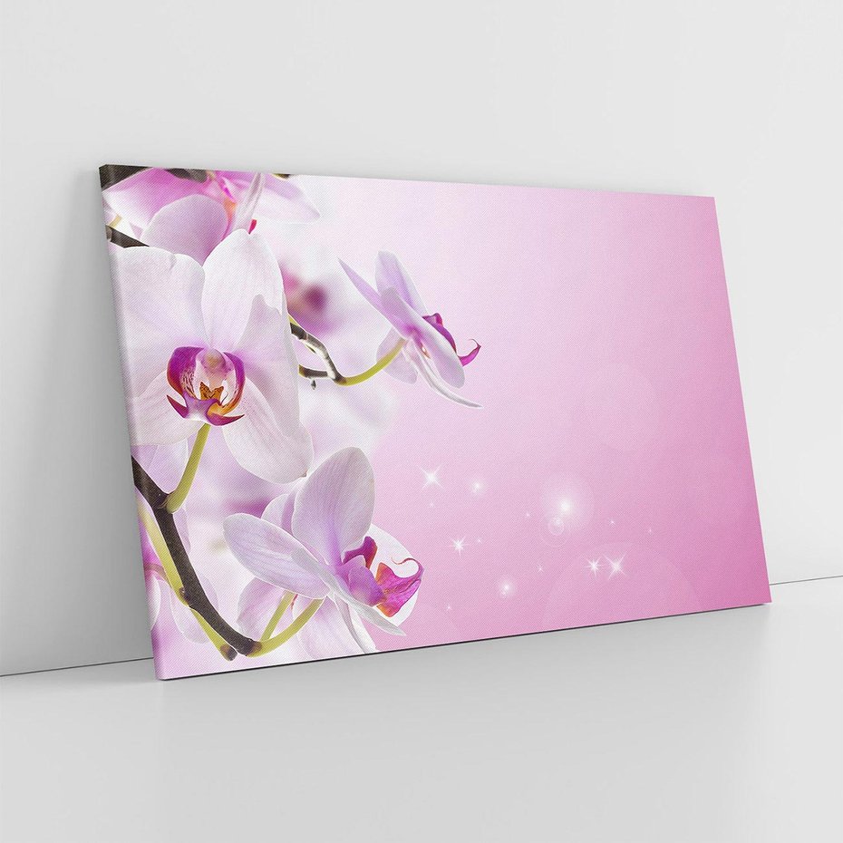 Obraz na płótnie 70x50 - Relaksujące Piękno - kwiaty, orchidea