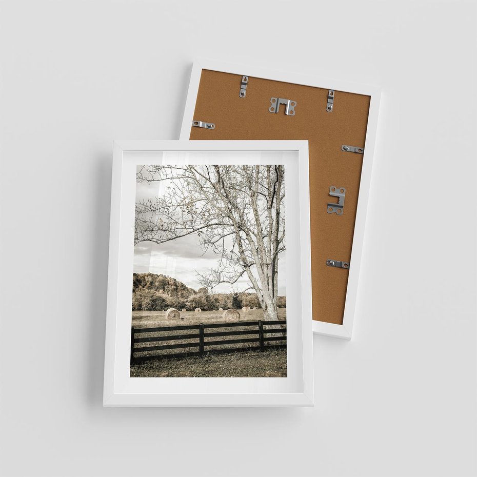 Plakat w ramie 30x40 - Drzewa i Snopki Siana - farma, drzewa - rama biała