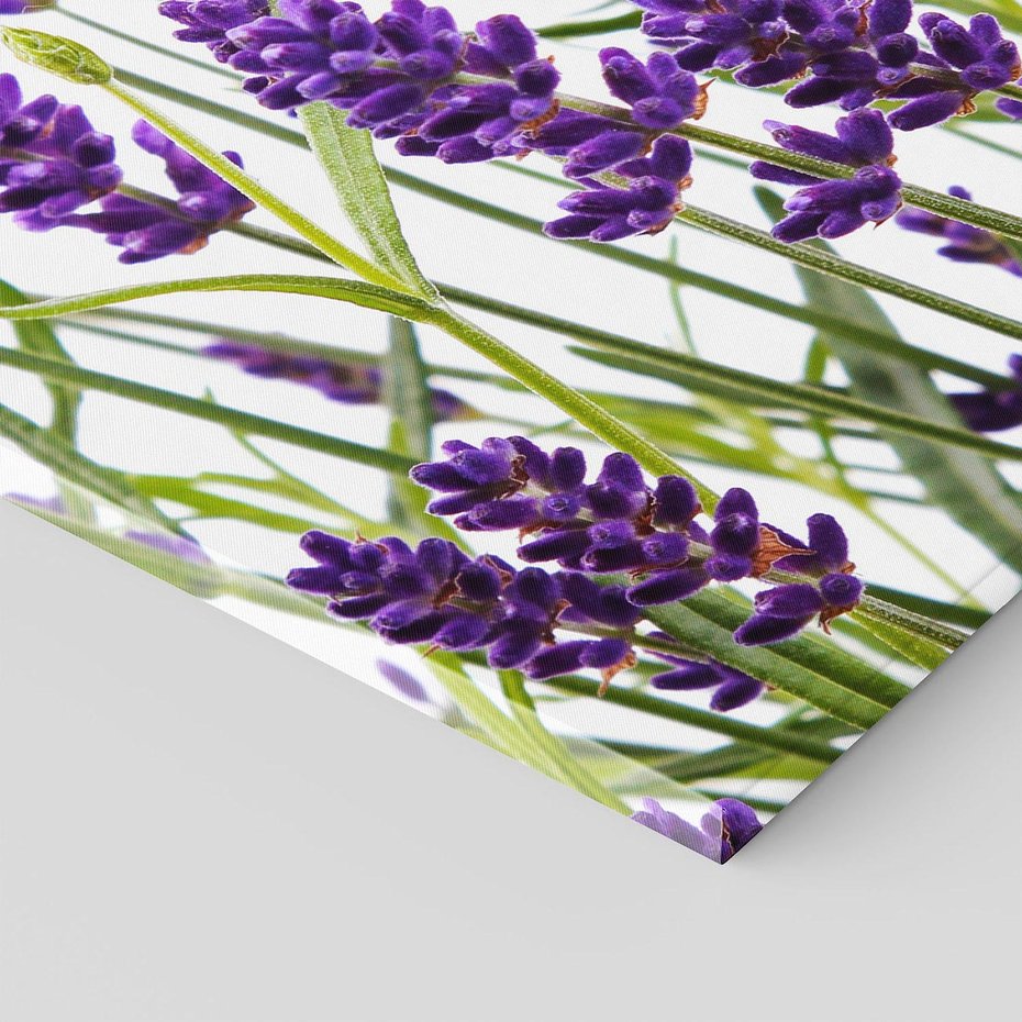 Obraz na płótnie 70x50 - Fioletowa harmonia lawendy - lawenda, fiolet