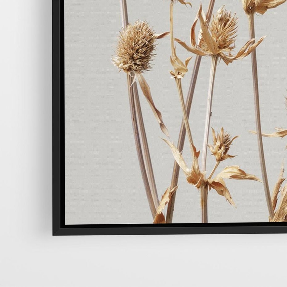 Obraz w ramie 70x50 - Delikatne gipsówki - gipsówka, suche - rama czarna