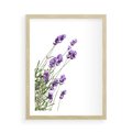 Plakat w ramie 50x70 - Delikatny Urok - lawenda, kwiaty - rama drewno