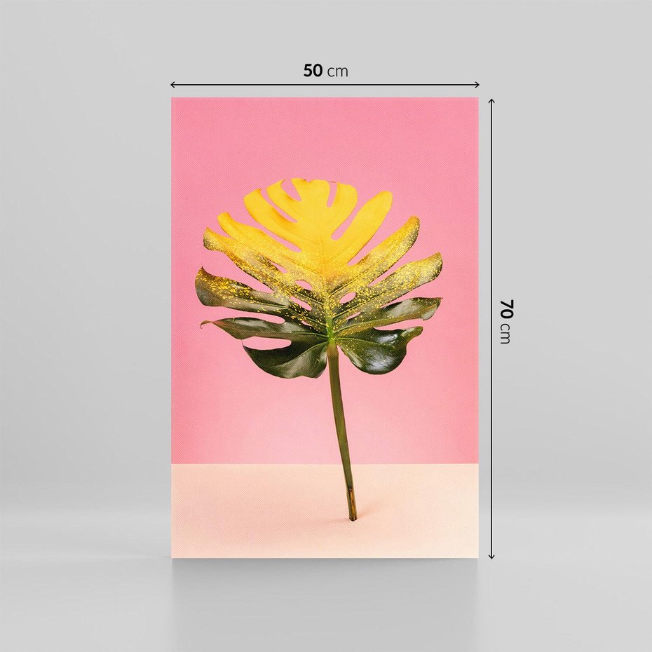 Obraz na płótnie 50x70 - Majestatyczna monstera - monstera, liść