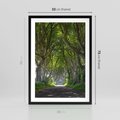 Plakat w ramie 50x70 - Magiczny Las - drzewa, las - rama czarna