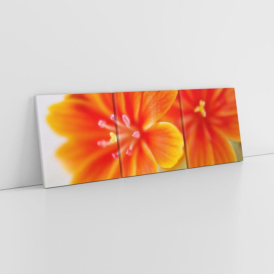 Obraz na płótnie 120x40 - Urok kwiatów - kwiat, kwiaty