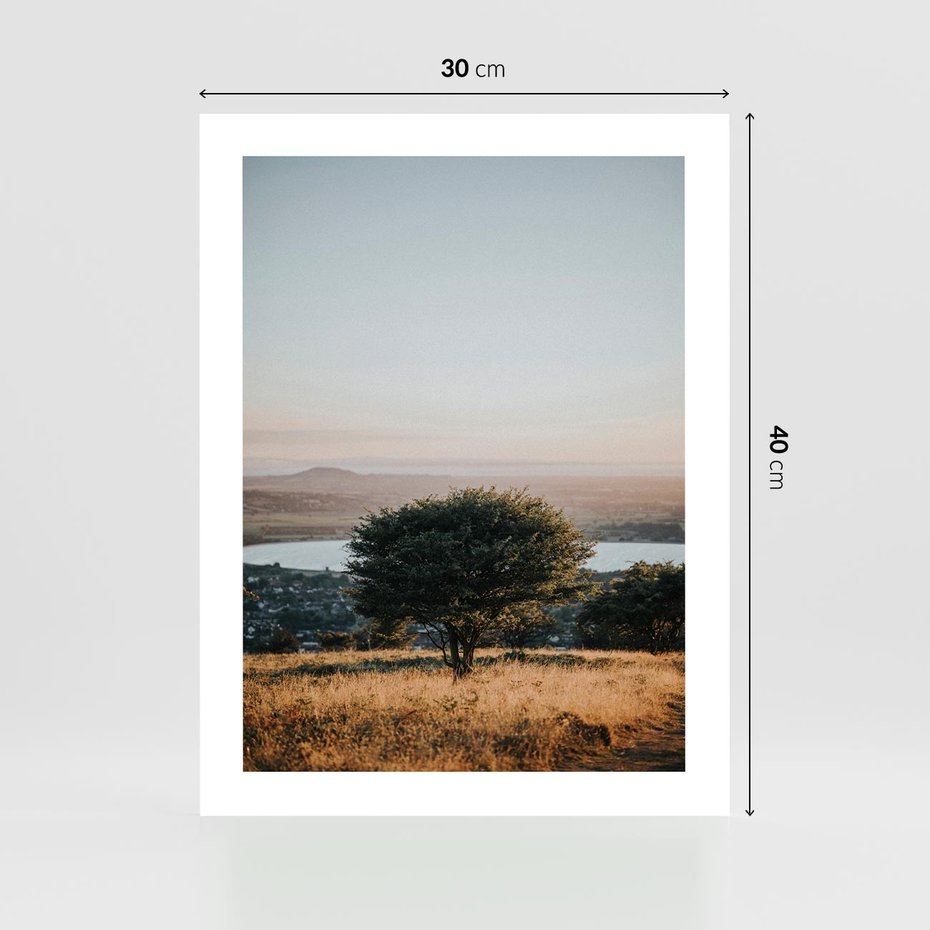 Plakat bez ramy 30x40 - Siła Natury - drzewo, pejzaż