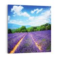 Obraz na płótnie 60x60 - Prowansalska Lawenda - lawenda, prowansja