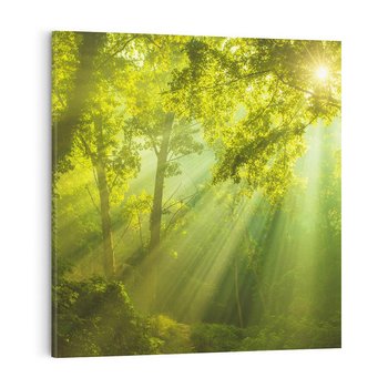 Obraz na płótnie 50x50 - drzewa w harmonii - las, drzewa
