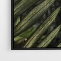Obraz w ramie 50x50 - W Liściach Ukryte - zdjęcie, fotografia - rama czarna
