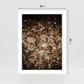 Plakat bez ramy 30x40 - Suchość Liści w Brązowych Tonach - suche liście jesień brąz