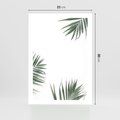 Plakat bez ramy 21x30 - Liście Palmy na Czystym Tle - liście palmy, białe tło