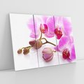 Obraz na płótnie 120x80 - Elegancka orchidea w pełnym rozkwicie - orchidea, kwiat