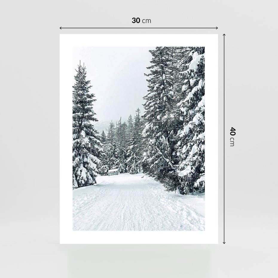 Plakat bez ramy 30x40 - Magia Zimy na Obrazie - las, zima