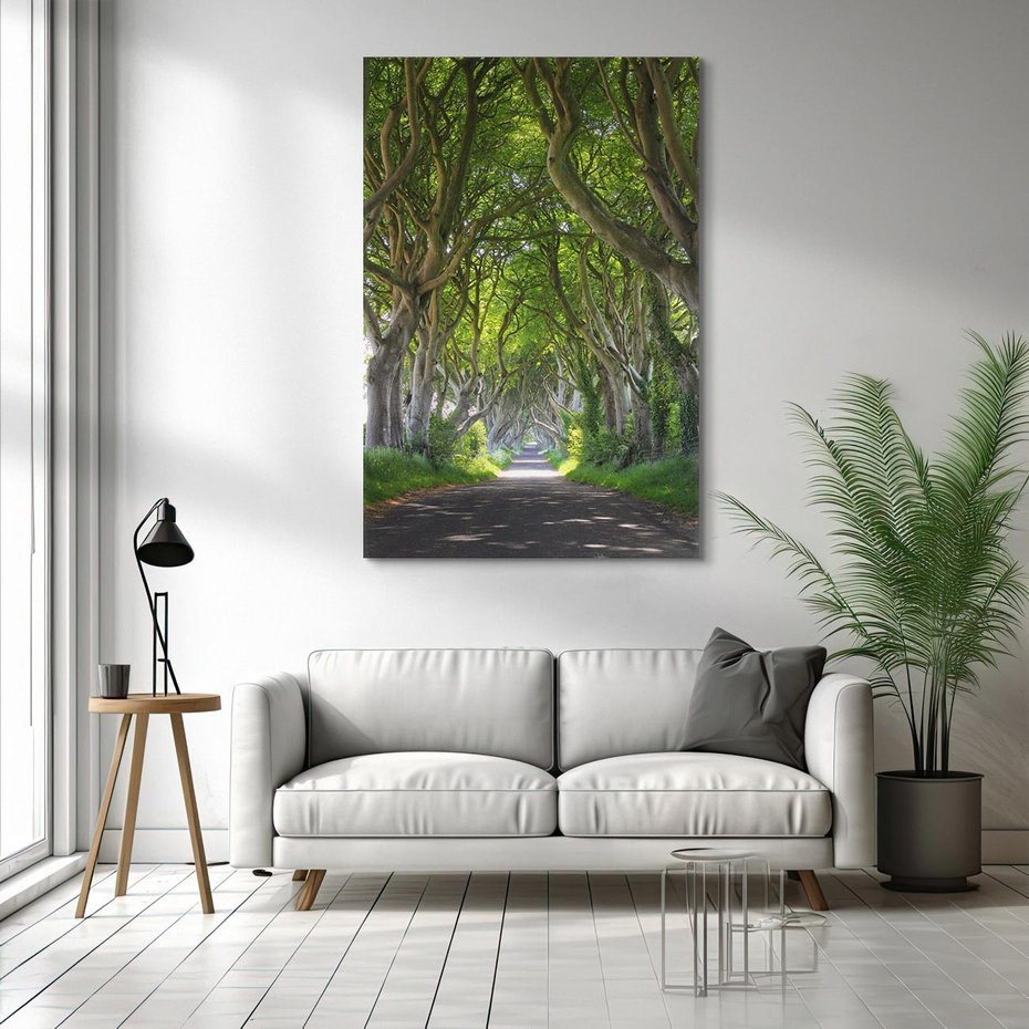 Obraz na płótnie 80x120 - Magiczny Las - drzewa, las