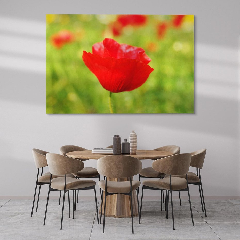 Obraz na płótnie 120x80 - Magia maku na łące - mak, łąka