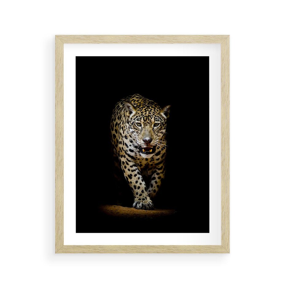 Plakat w ramie 40x50 - Elegancja lamparta - lampart, pantera - rama drewno