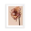 Plakat w ramie 40x50 - Delikatne piękno - suche, kwiaty - rama biała