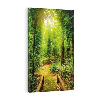 Obraz na płótnie 50x70 - Współistnienie z naturą - drzewa, las
