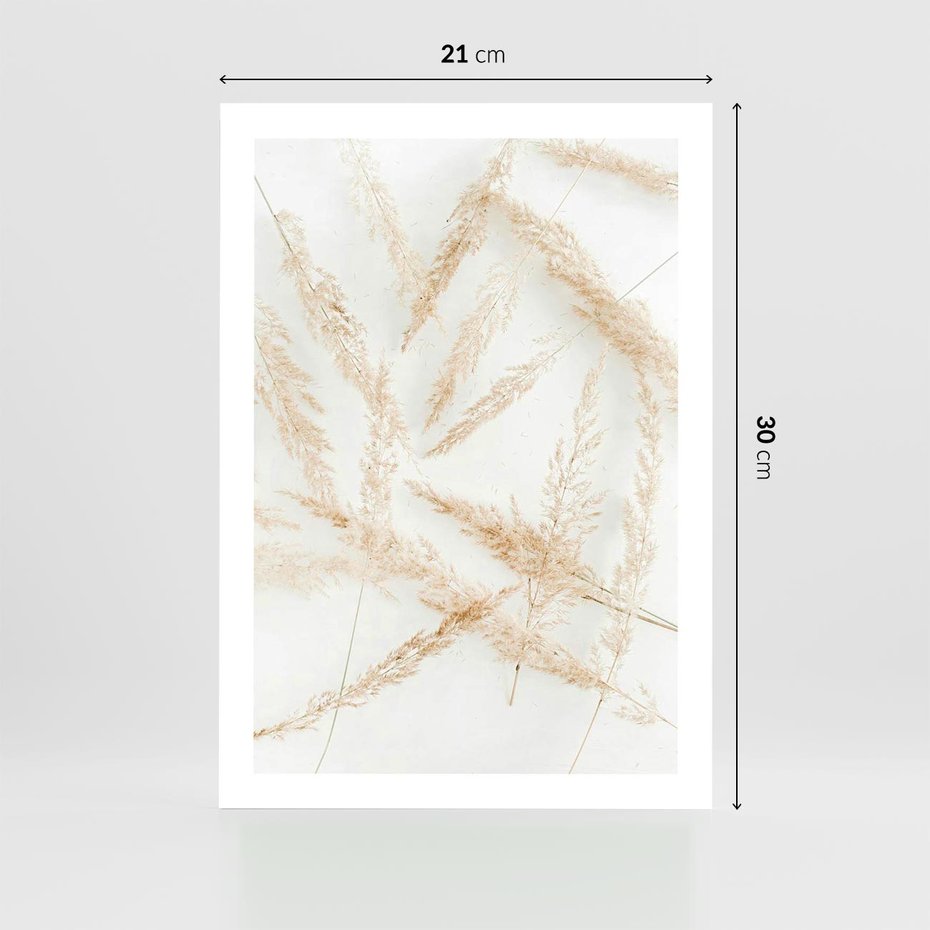 Plakat bez ramy 21x30 - Pampas w Stylu Boho: Kompozycja Natury - suche trawy, pampas
