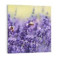 Obraz na płótnie 40x40 - Magia lawendy delikatne kwiaty - lawenda, kwiat